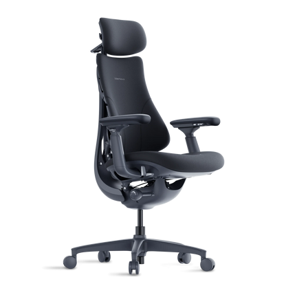 Omni Dynamic Ergonomic Chair