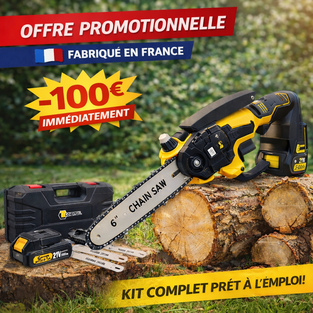 Tronçonneuse Électrique Portable