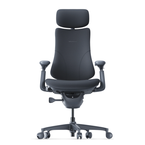 Omni Dynamic Ergonomic Chair
