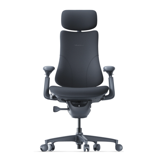 Omni Dynamic Ergonomic Chair