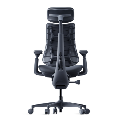 Omni Dynamic Ergonomic Chair